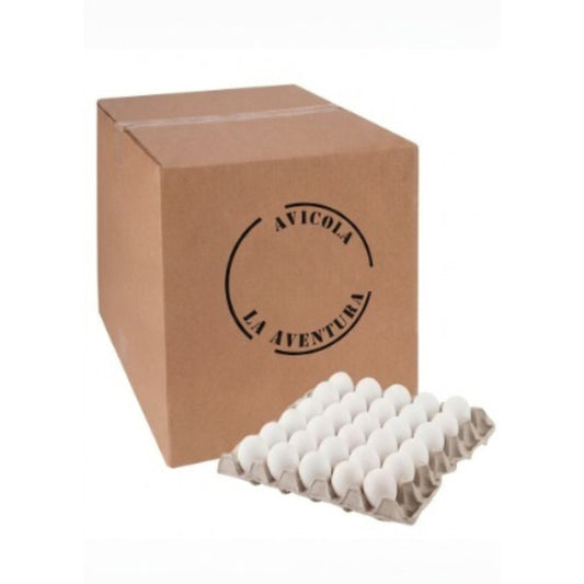 Caja de 360 pz. de Huevo Aventura